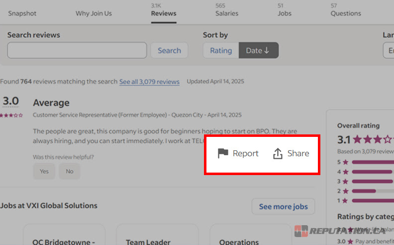 The Review Reporting Process